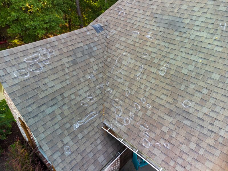 Asphalt Roof Inspection in Chicago, IL
