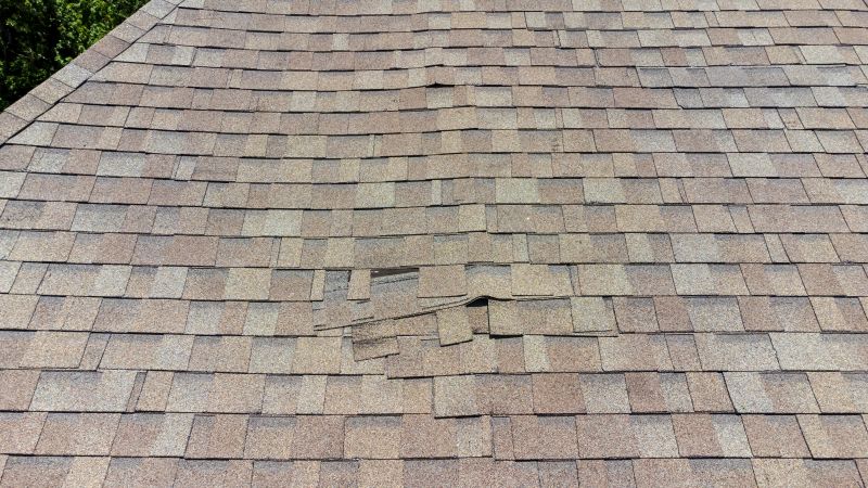 Asphalt Roof Inspection in Orland Park, IL
