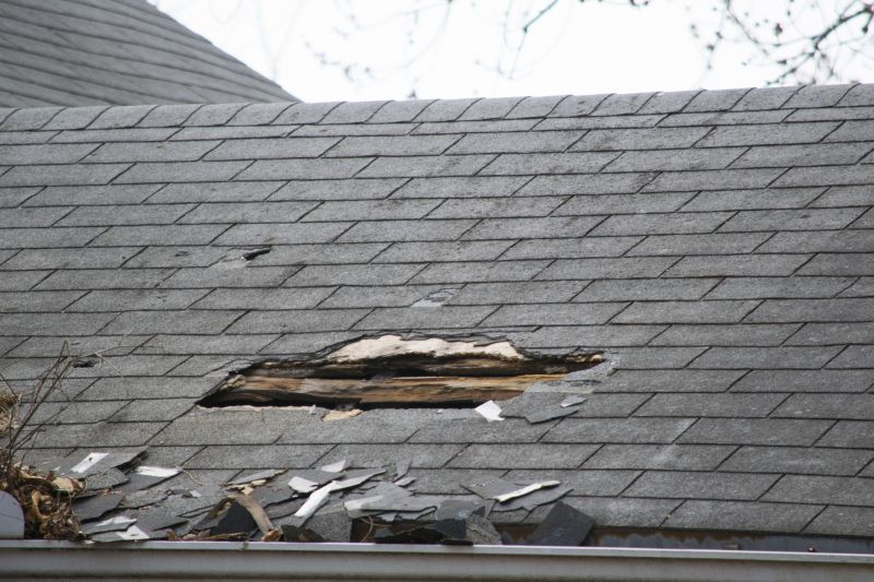 Asphalt Roof Leak Repair in Palos Hills, IL
