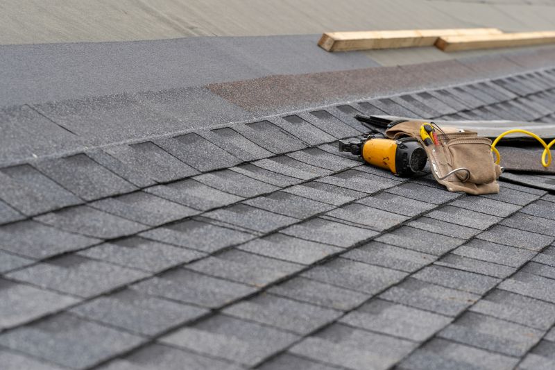 Asphalt Roof Repair in Crown Point, IN