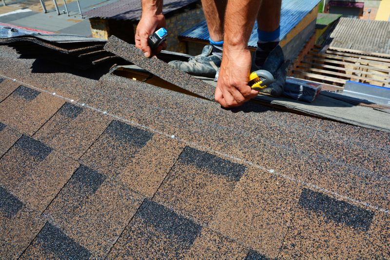 Asphalt Roof Repair in Hammond, IN