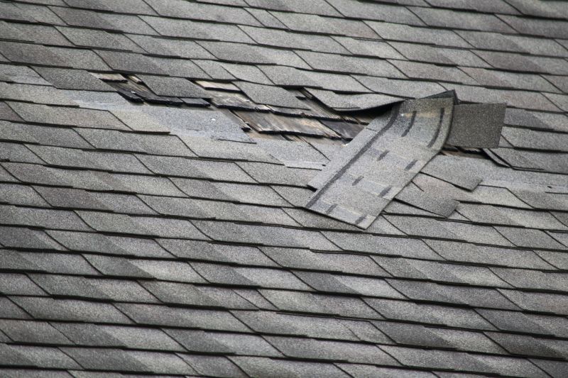 Asphalt Roof Repair in Hammond, IN