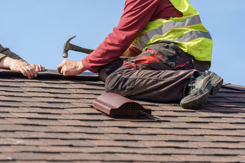 Asphalt Roof Repair in Monee, IL