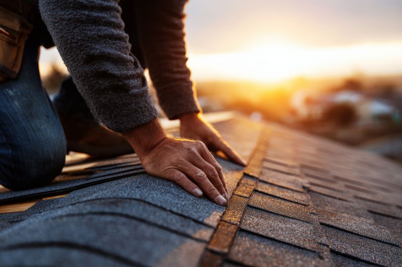 Asphalt Roof Repair in Steger, IL