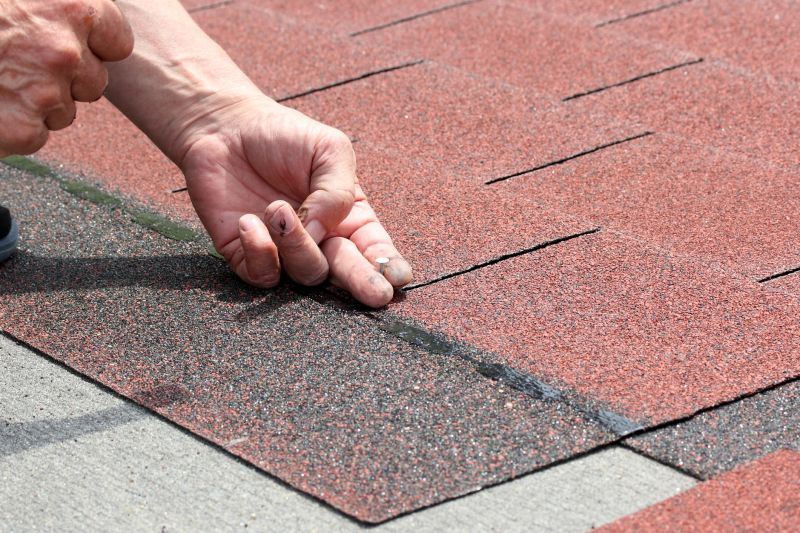 Asphalt Shingles Installation in Monee, IL