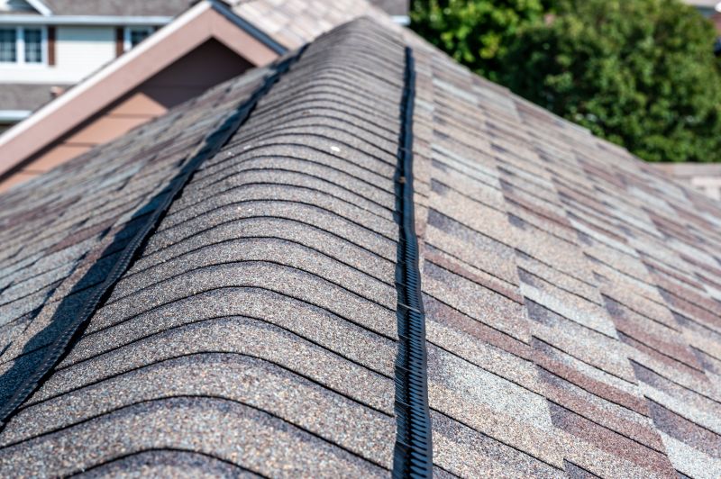 Asphalt Shingles Installation in Monee, IL