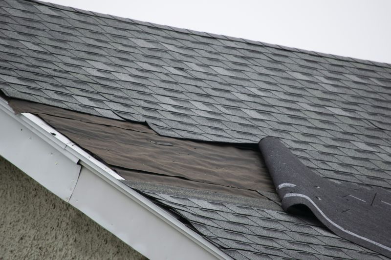 Asphalt Shingles Repair in Palos Heights, IL
