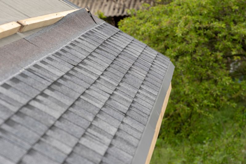 Damaged Roof Repair in Frankfort, IL