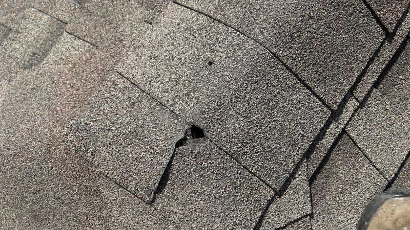 Damaged Roof Repair in Harvey, IL