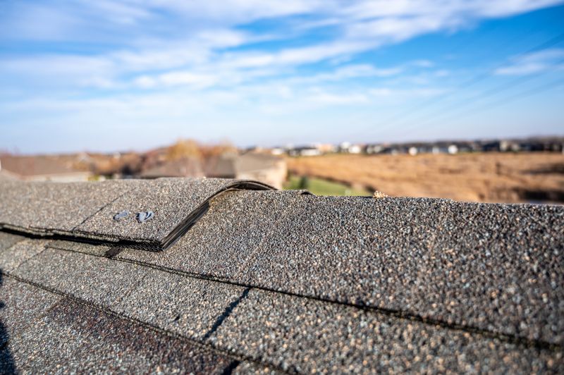 Damaged Roof Repair in Gary, IN