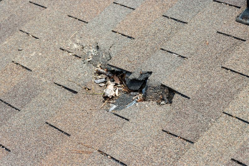 Damaged Roof Replacement in Porter County, IN