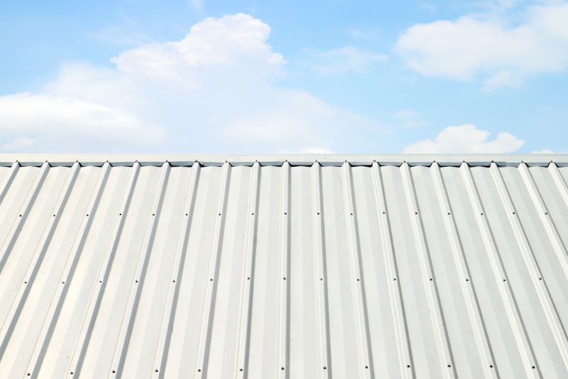 Metal Roof Coating Service in Gary, IN