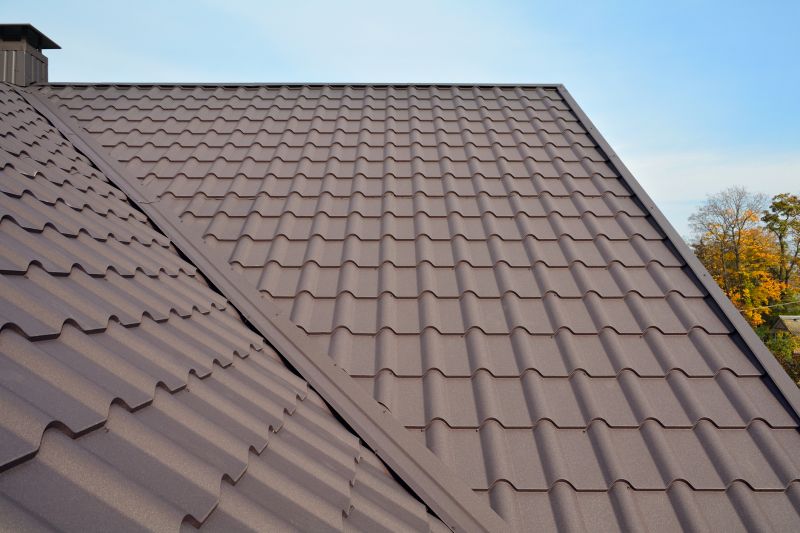 Metal Roof Installation in Portage, IN