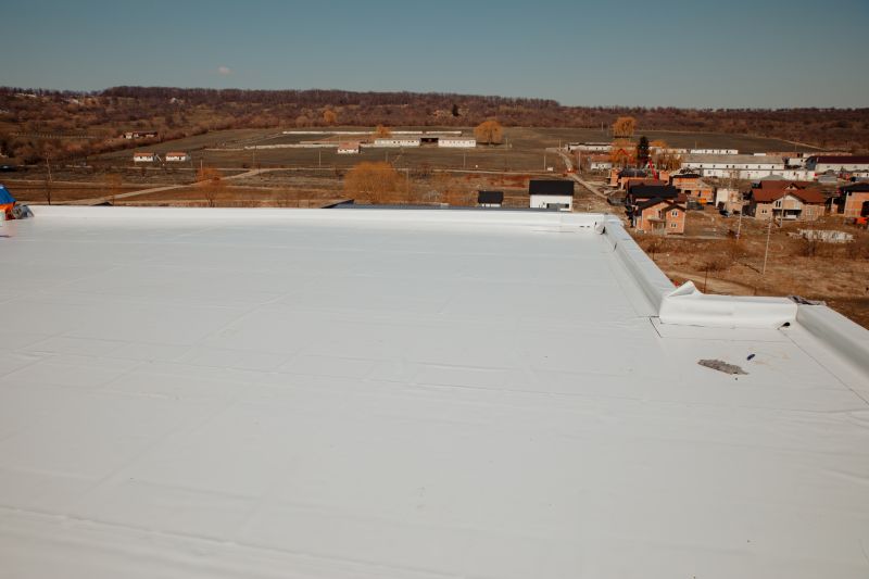 Rubber Roof Repair in Lake County, IN