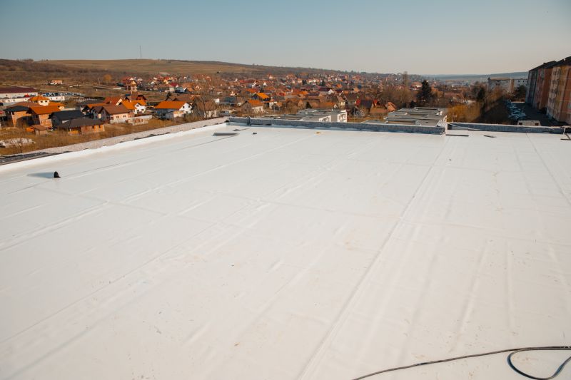 Rubber Roof Repair in Riverdale, IL