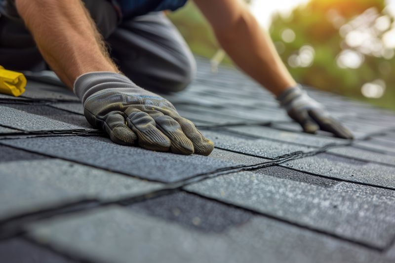 Shingles Repair in Monee, IL