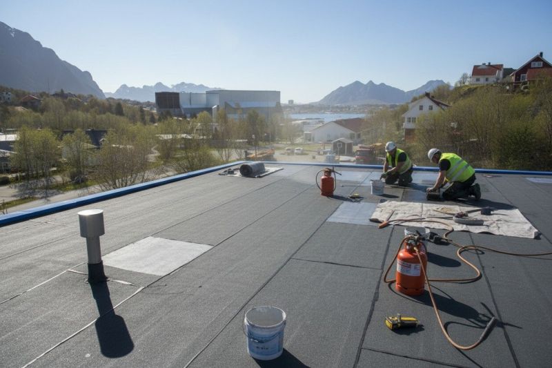 Single Ply Roof Replacement in Steger, IL