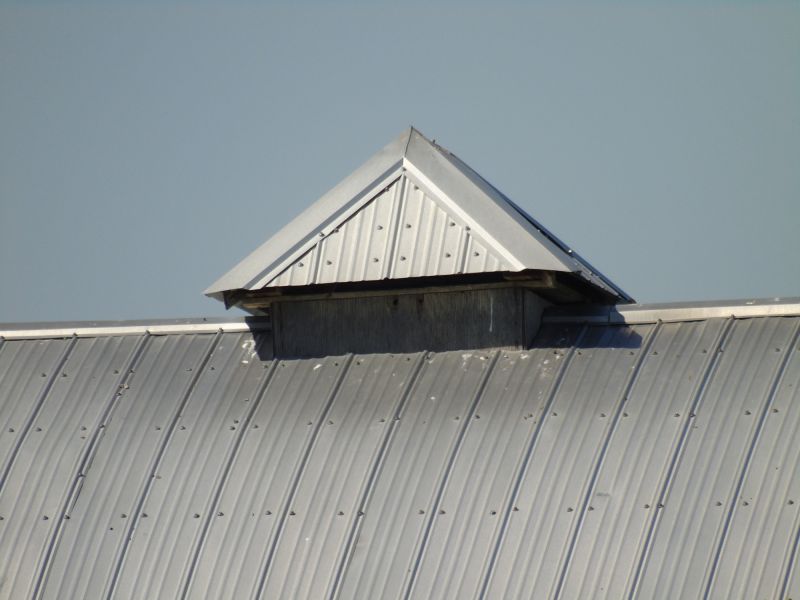 Tin Roof Installation in Dyer, IN