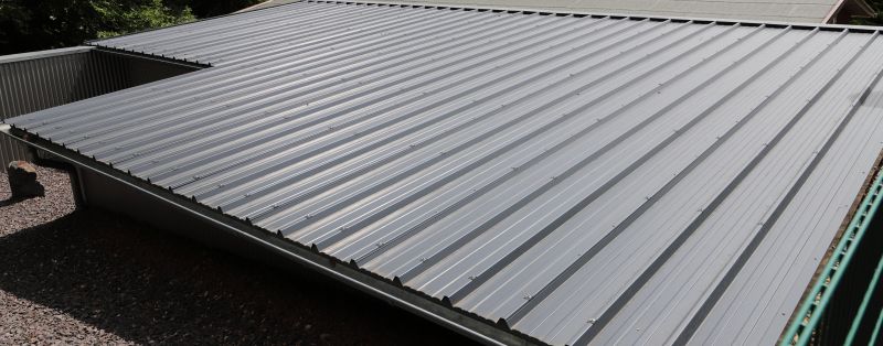 Tin Roof Installation in Saint John, IN