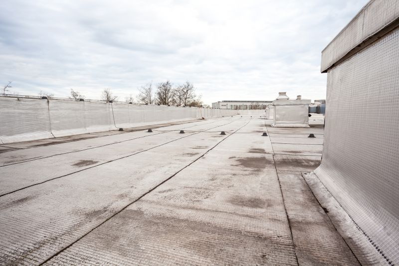 Tpo Roof Repair in Chesterton, IN