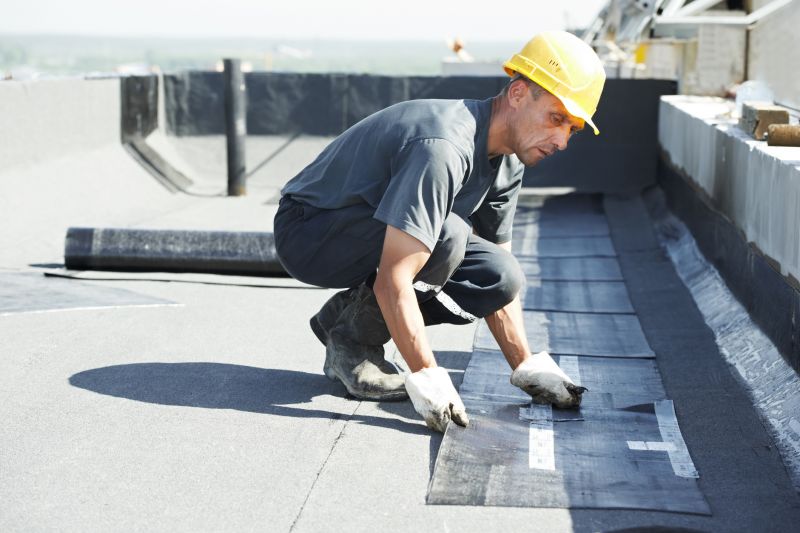 Tpo Roof Repair in Monee, IL