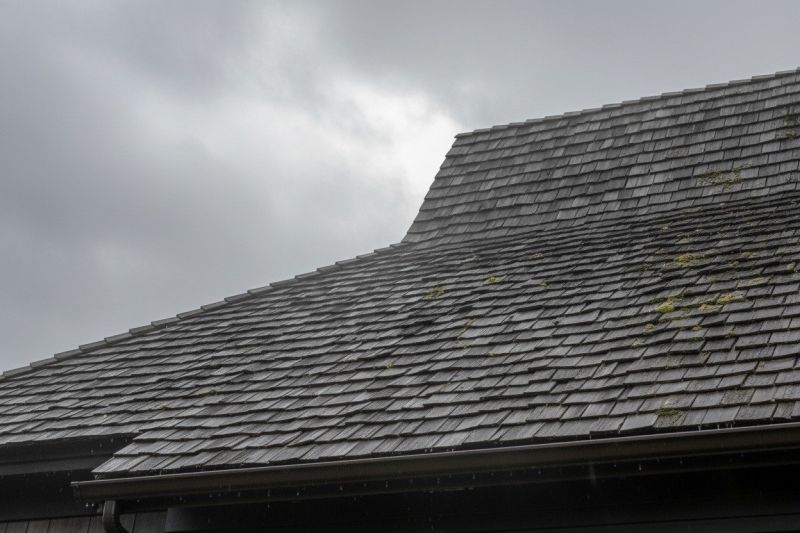 Wood Shake Roof Replacement in Frankfort, IL