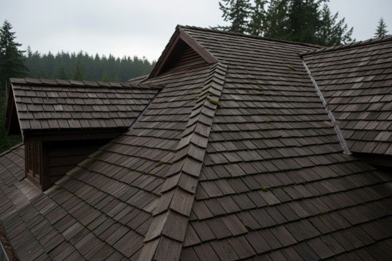 Wood Shake Roof Replacement in Gary, IN